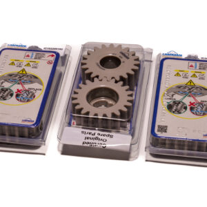 Carpigiani fogaskerék